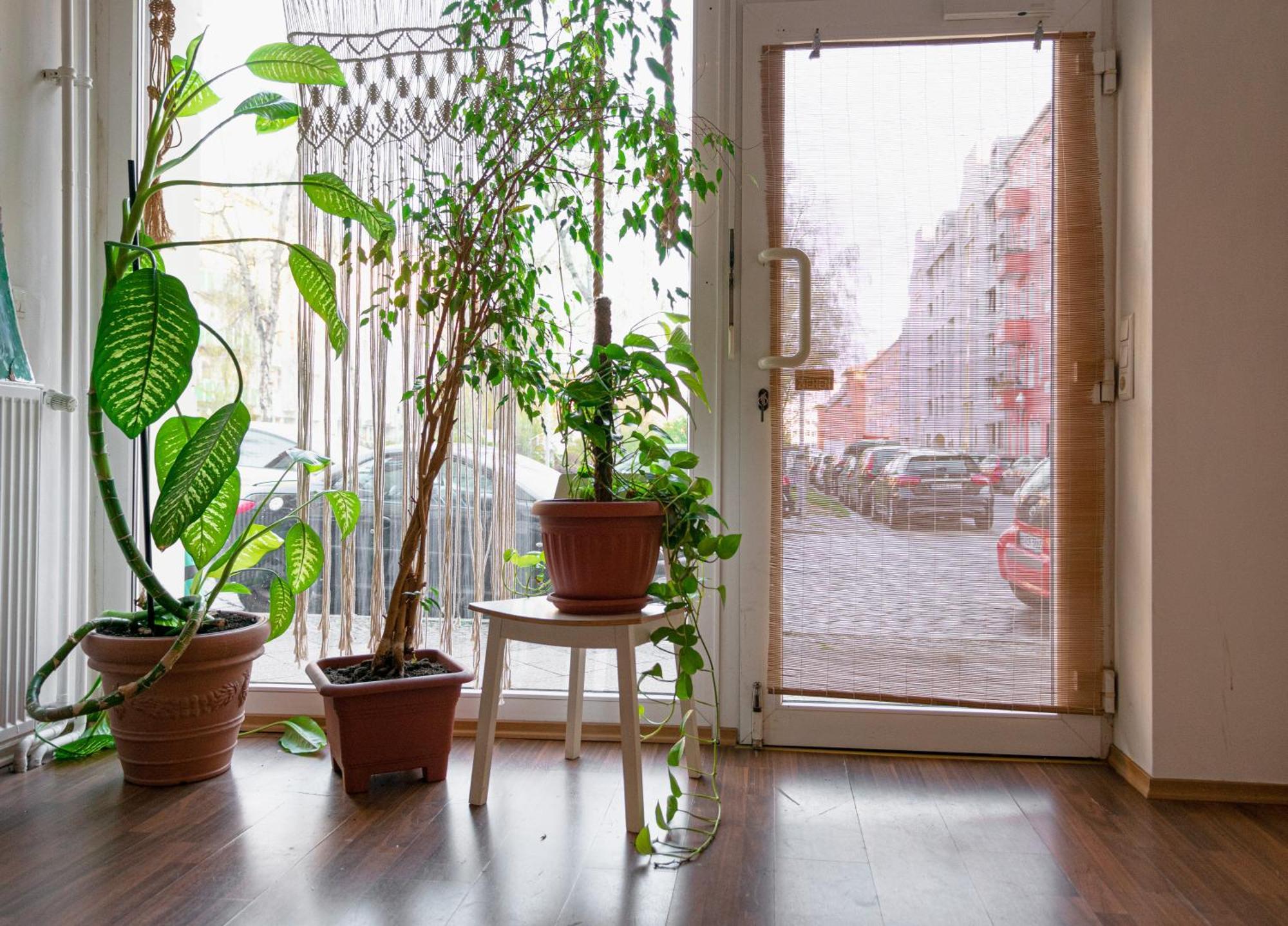 Boutique Altbau Apartment Berlin Eksteriør billede